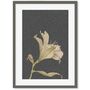 Grey Vintage Floral Stem Art Print, thumbnail 3 of 6