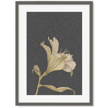 Grey Vintage Floral Stem Art Print, 3 of 6