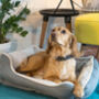 Luxury Neutral Fleeced Dog Bed, thumbnail 1 of 4