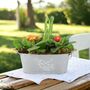 Primrose And Tete A Tete Spring Flower Trough, thumbnail 4 of 4