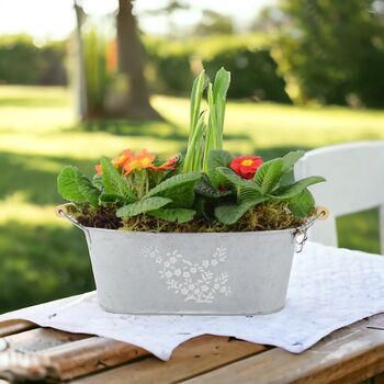 Primrose And Tete A Tete Spring Flower Trough, 4 of 4