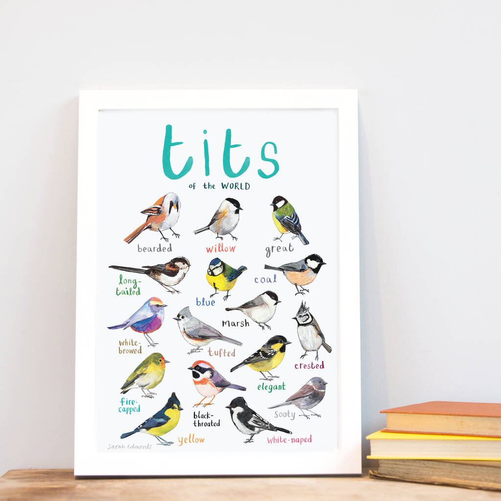 'Tits Of The World' Bird Art Print, 1 of 4