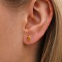 Gold Plated Sterling Silver November Citrine Birthstone Stud Earrings, thumbnail 1 of 5