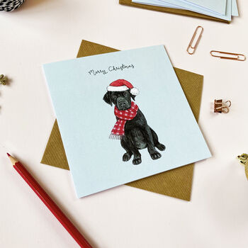 Festive Black Labrador Christmas Card By Amelia Illustration