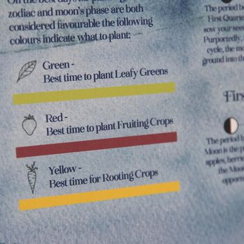 2026 | Large Moon Calendar, 5 of 9