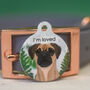 Personalised Foggy Forest Dog ID Tag, thumbnail 11 of 12