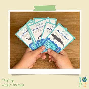 Children's Eco Activity Box: Brilliant Blue Whales, 7 of 12