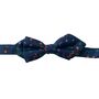 Herbie Blue Silk Toddler And Boy's Bow Tie, thumbnail 2 of 5