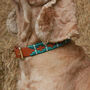 Genuine Leather Polo Handmade Green Tan Dog Collar, thumbnail 2 of 3