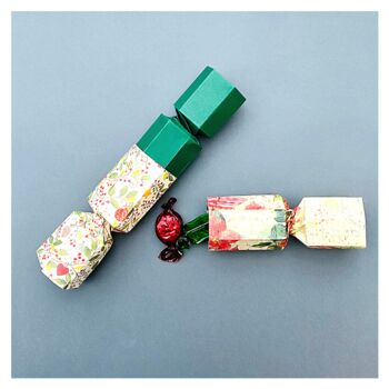 Fold Your Own Christmas Crackers, 3 of 12