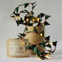 Christmas Tree Fairy Light String, Xmas Decorations, thumbnail 4 of 4