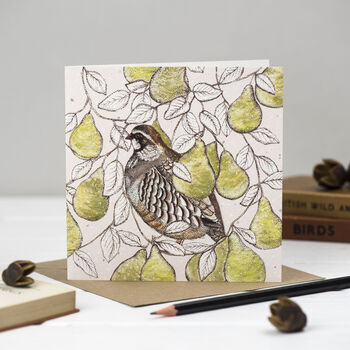 'Robins And Partridges' Mixed Pack Of 10 Cards, 2 of 10