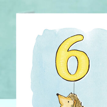 Hedgehog 6th Birthday Card, 9 of 9