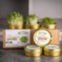 Organic Microgreen Tin Set Growing Kit | Immunity, thumbnail 1 of 2