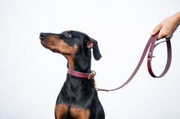 Personalised Luxury Leather Dog Lead, 2 of 11