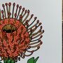 Pincushion Protea Print, thumbnail 4 of 5