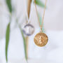 Gold Basking Bee Coin Necklace, thumbnail 8 of 9