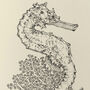 T Is For Tiger Tail Seahorse Illustration Print, thumbnail 4 of 4
