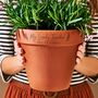 Personalised Special Teacher Engraved Plant Pot, thumbnail 1 of 2