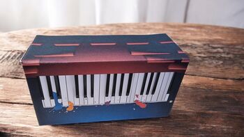 Piano Socks And Box Set, 11 of 12