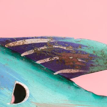 Fish Lantern, 10 of 12