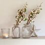 Set Of Two Gold Rim And Clear Glass Bottle Vases, thumbnail 1 of 7