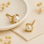 Solid 9ct Yellow Gold June Pearl Birthstone Stud Earrings, thumbnail 1 of 5