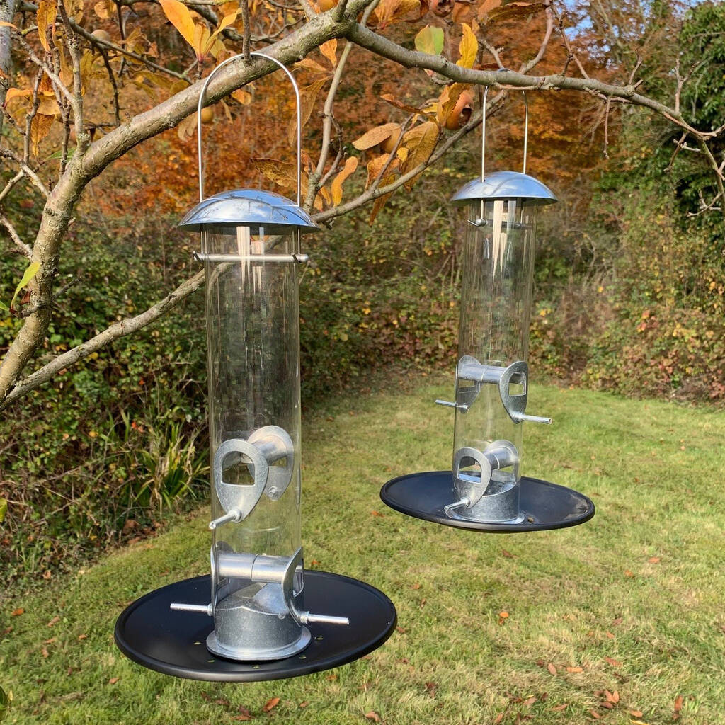 Pack Of Two Silver Bird Feeders And Seed Catcher Trays By Garden