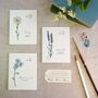 Set Of Six Botanical Wildflower Mini Notecards, thumbnail 1 of 7