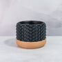 Carbon Stellar Planter, thumbnail 3 of 4
