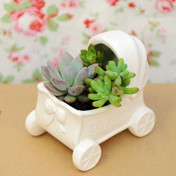 It's A Boy Ceramic Buggy Planter Baby Shower Gift, 2 of 6