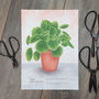 Chinese Money Plant Illustrated Print, thumbnail 1 of 5