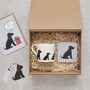 Black Cocker Spaniel Dog Walking Socks, thumbnail 11 of 12
