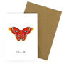 Atlas Moth A6 Greetings Cards, thumbnail 6 of 7