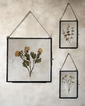 Antique Pressed Flower Frame: Small Vintage White Tansy, 6 of 9