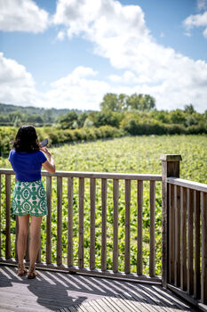 Oastbrook Vineyard Tour And Tasting For Two, 9 of 12