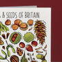 Nuts And Seeds Of Britain Art Greeting Card, thumbnail 5 of 7