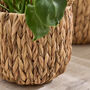 Set Of Two Water Hyacinth Planter Baskets, thumbnail 5 of 6
