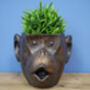 Bronzed Monkey Head Retro Planter Plant Pot, thumbnail 2 of 7