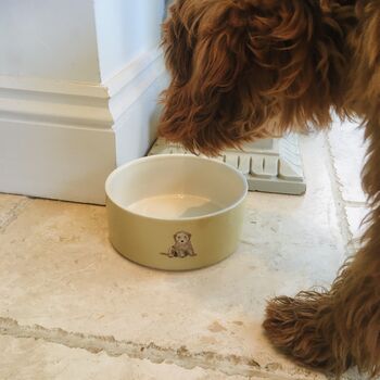 Cockapoo Dog Bowl, 2 of 3