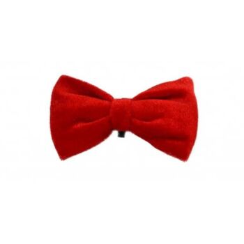 The Puppy Christmas Gift Box, 5 of 6