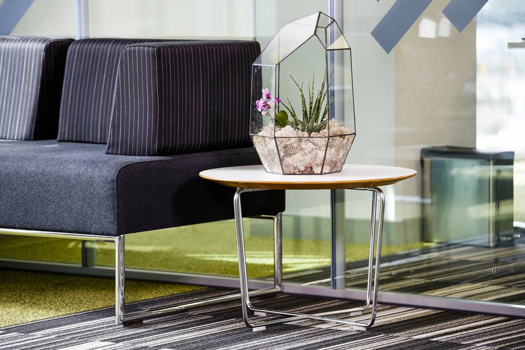 Image of Branded Corporate Gift Large Gem Terrarium Plant