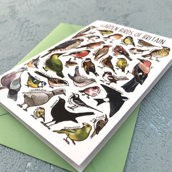 Garden Birds Of Britain Art Blank Greeting Card, 7 of 11