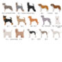 Peronalised Dog Breed Fridge Magnet, thumbnail 12 of 12