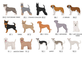 Peronalised Dog Breed Fridge Magnet, 12 of 12