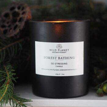 Forest Bathing Aromatherapy Vegan Candle, 5 of 12