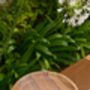 Rainbow Sandstone Birdbath Bowl, thumbnail 5 of 5