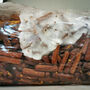 Ready To Grow Gourmet Mushroom Log Medium, thumbnail 11 of 12