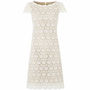 Lace Evening Scalloped Neck Dress, thumbnail 1 of 4