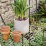 Large Plant Steel Stand, thumbnail 5 of 6